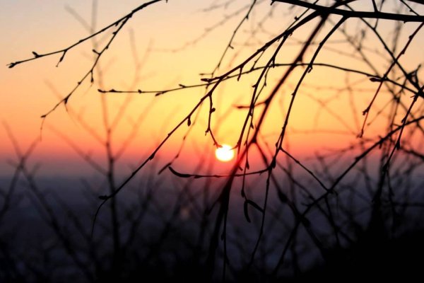 Ссылка на кракен тор ремонт