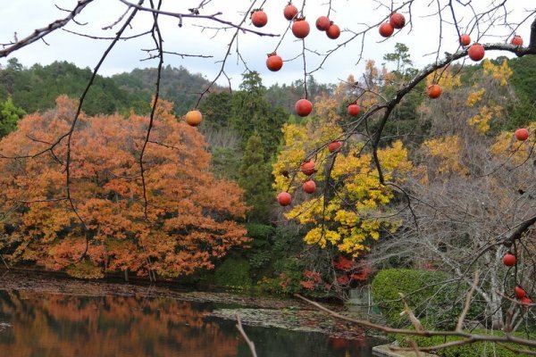 Кракен ссылка тор дизайн