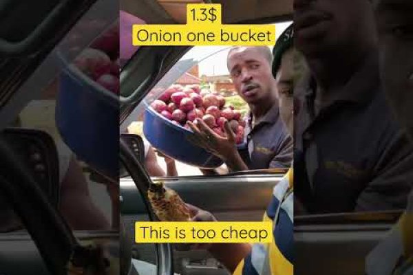 Kraken ссылка штукатурка декоративная цена за работу