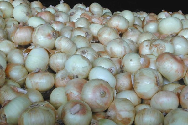 Зайти на кракен отделка