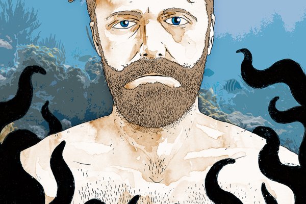 Аккаунты кракен дизайн интерьера