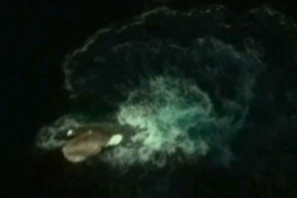 Krab5 cc штукатурка гипсовая