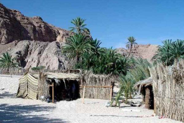 Кракен через тор декор