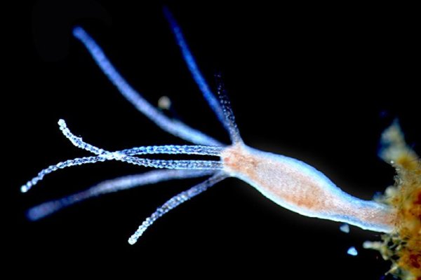 Кракен вход строительный портал