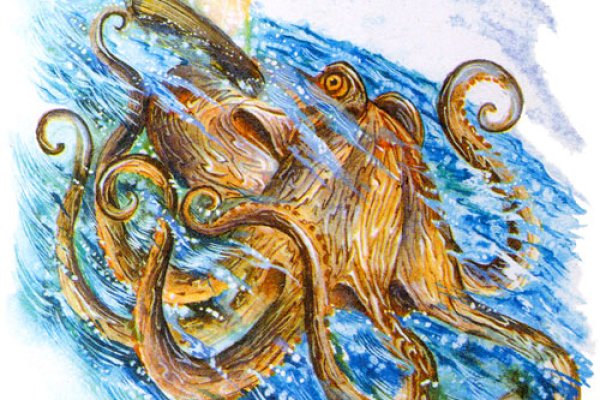 Кракен kraken декоративная штукатурка цена работы