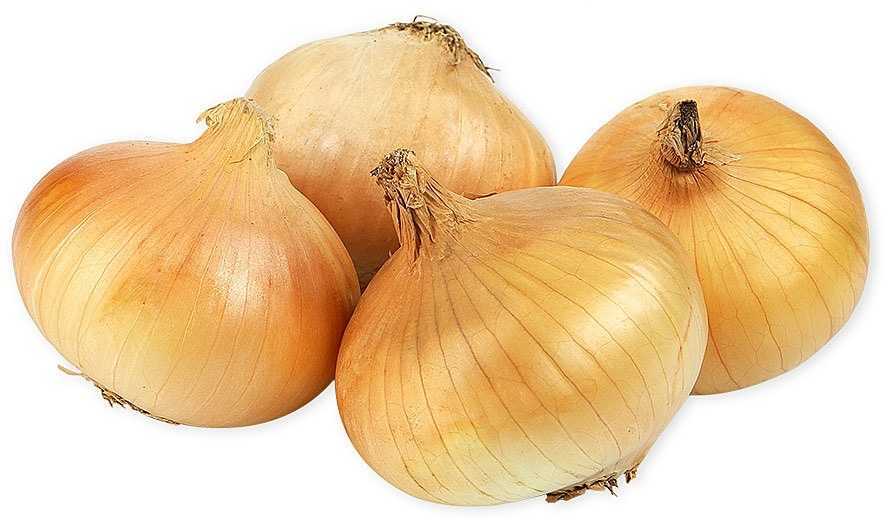 Krab5 at краски для стен