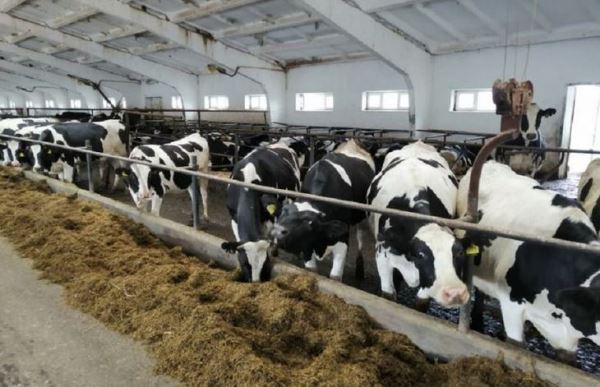 Сайты kraken строительный портал